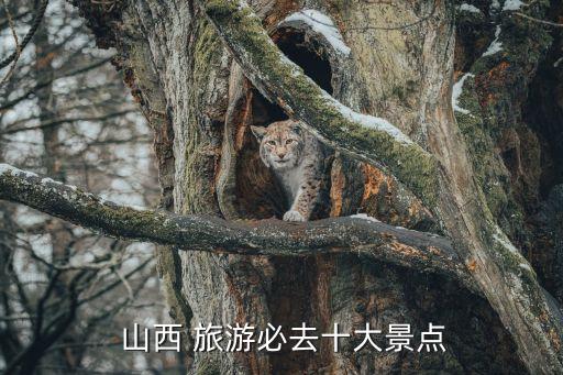  山西 旅游必去十大景点