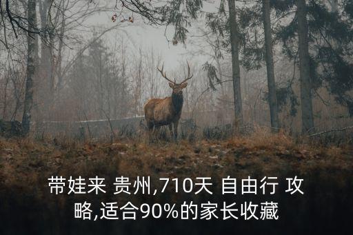 带娃来 贵州,710天 自由行 攻略,适合90%的家长收藏