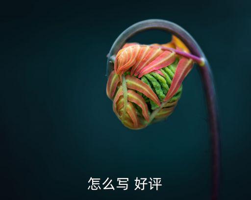 怎么写 好评