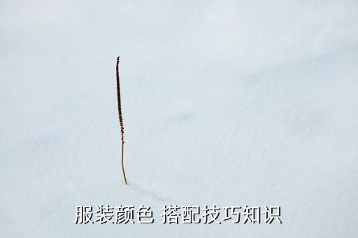服装颜色 搭配技巧知识