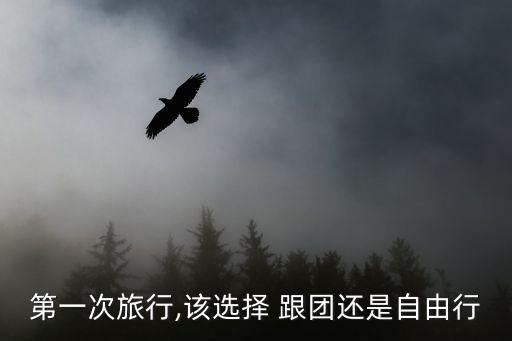 旅游自己去好还是跟团好,报团旅游哪个旅行社好