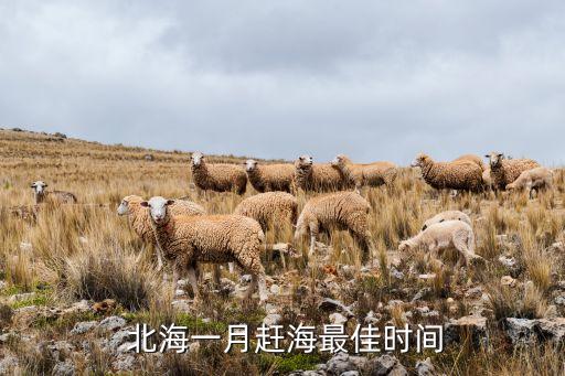  北海一月赶海最佳时间