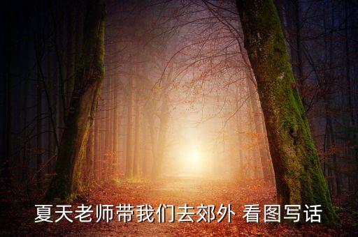 夏天老师带我们去郊外 看图写话