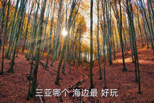 哪里的海边比较好玩,国内海边去哪里旅游最好