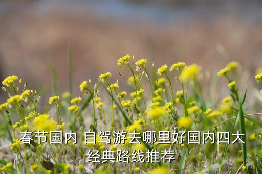  春节国内 自驾游去哪里好国内四大经典路线推荐