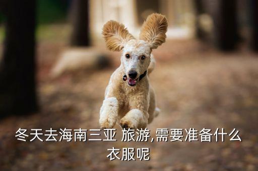 秋冬旅游穿搭,旅游穿搭图片大全女