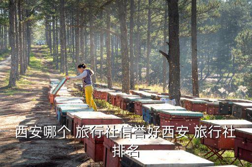 西安哪个 旅行社信誉好西安 旅行社排名