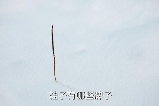  鞋子有哪些牌子
