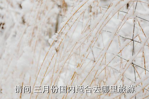 请问 三月份国内适合去哪里旅游