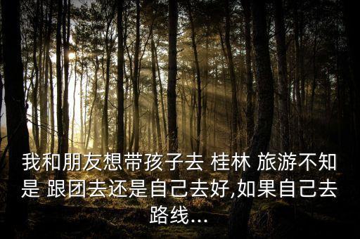 我和朋友想带孩子去 桂林 旅游不知是 跟团去还是自己去好,如果自己去路线...