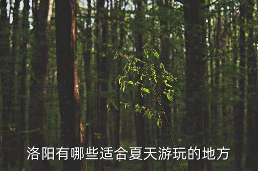 洛阳有哪些适合夏天游玩的地方