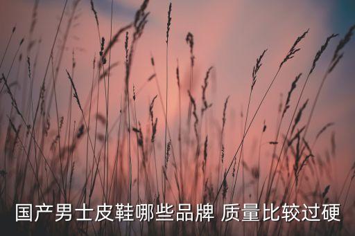 国产男士皮鞋哪些品牌 质量比较过硬