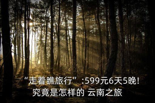 “走着瞧旅行”:599元6天5晚!究竟是怎样的 云南之旅