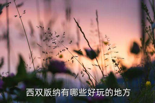  西双版纳有哪些好玩的地方