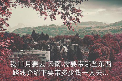 我11月要去 云南,需要带哪些东西路线介绍下要带多少钱一人去...