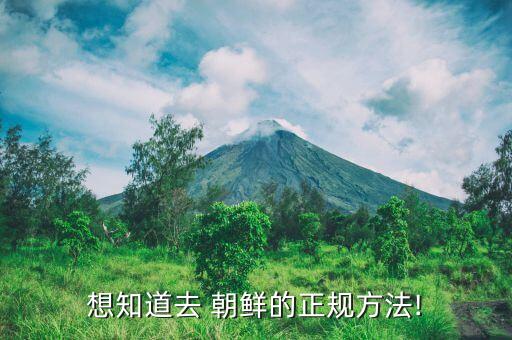 想知道去 朝鲜的正规方法!