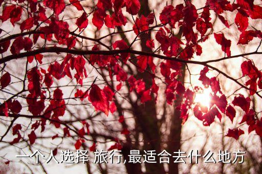 一个人选择 旅行,最适合去什么地方