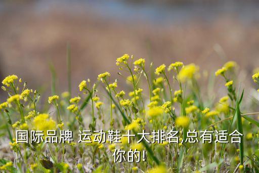 国际品牌 运动鞋十大排名,总有适合你的!