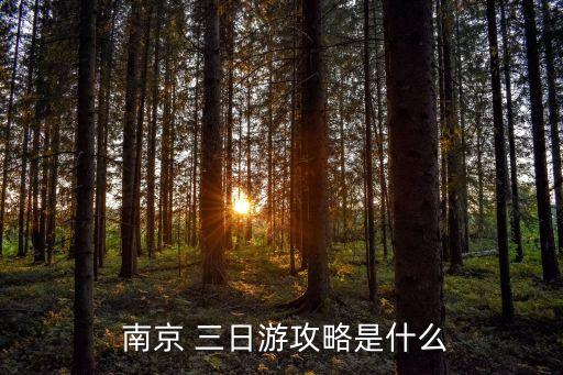  南京 三日游攻略是什么