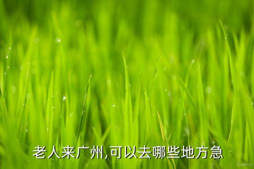 广州市内适合老人旅游,适合老人和小孩旅游的地方有哪些