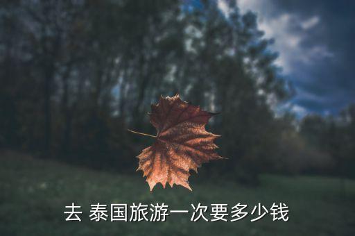 去 泰国旅游一次要多少钱