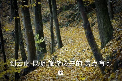 到云南 昆明 旅游必去的 景点有哪些