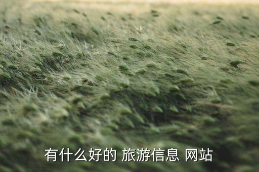 有什么好的 旅游信息 网站