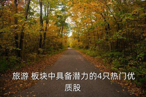  旅游 板块中具备潜力的4只热门优质股