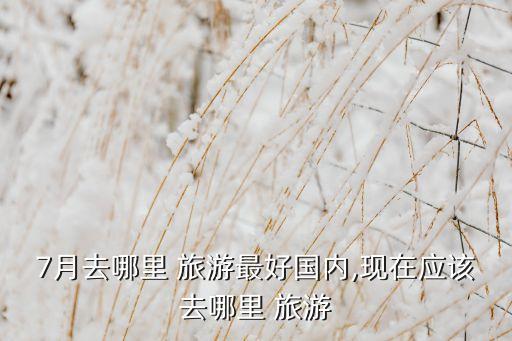 7月去哪里 旅游最好国内,现在应该去哪里 旅游