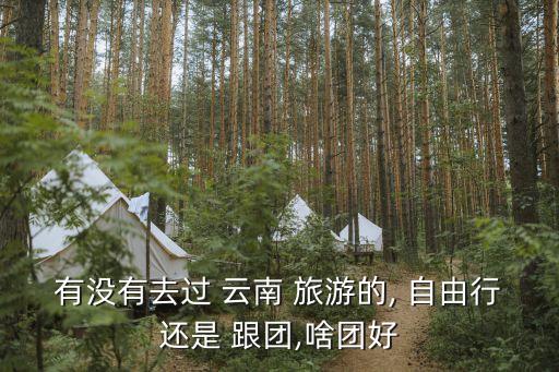 有没有去过 云南 旅游的, 自由行还是 跟团,啥团好