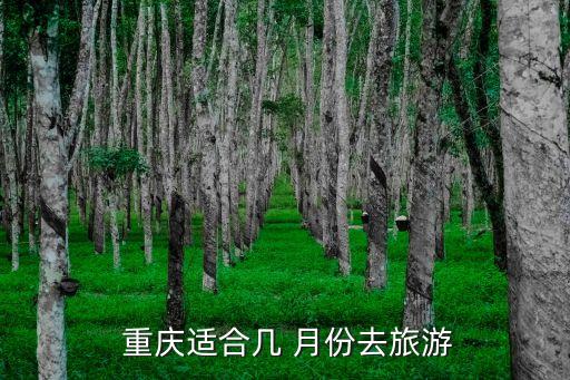  重庆适合几 月份去旅游