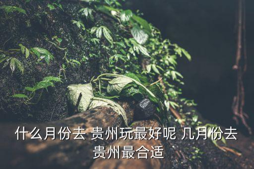 什么月份去 贵州玩最好呢 几月份去 贵州最合适
