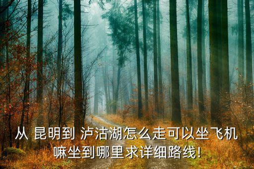 从 昆明到 泸沽湖怎么走可以坐飞机嘛坐到哪里求详细路线!