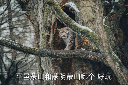 平邑蒙山和蒙阴蒙山哪个 好玩