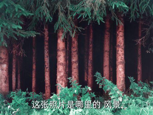 夏天景色风景图片大全,漂亮的风景图片