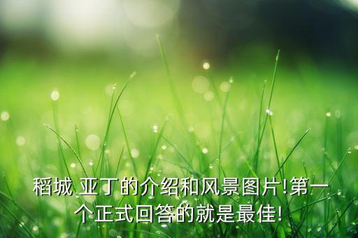  稻城 亚丁的介绍和风景图片!第一个正式回答的就是最佳!