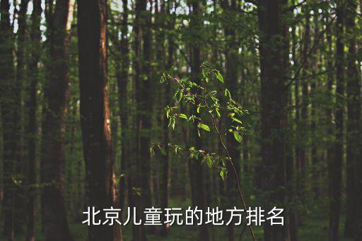  北京儿童玩的地方排名
