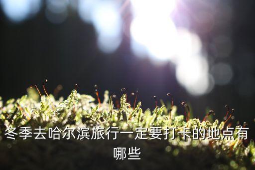 冬季去哈尔滨旅行一定要打卡的地点有哪些