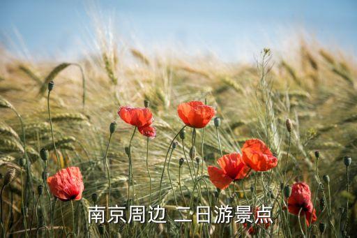 南京二日游最佳路线自由行,南京带孩子必须去22个地方