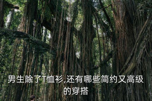 男生除了T恤衫,还有哪些简约又高级的穿搭