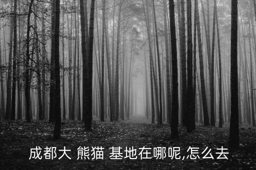  成都大 熊猫 基地在哪呢,怎么去