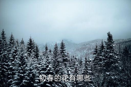 初春的花有哪些