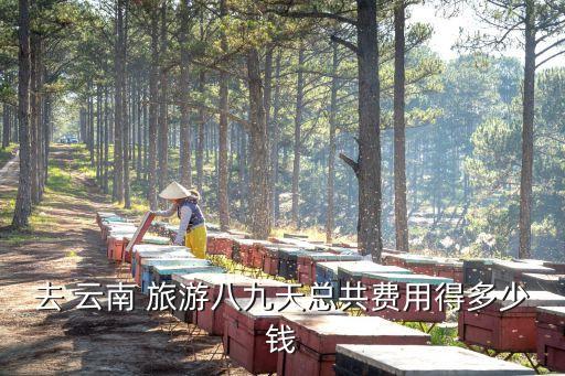 云南10天9晚旅游包机大概多钱