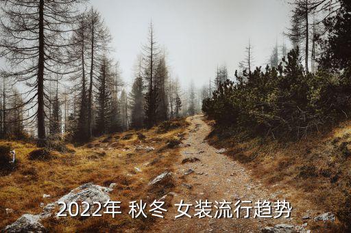 2022年 秋冬 女装流行趋势