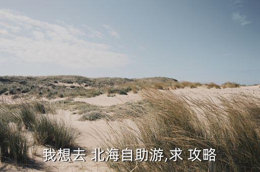广西北海旅游攻略自由行最佳线路,北海旅游攻略自由行5天多少钱