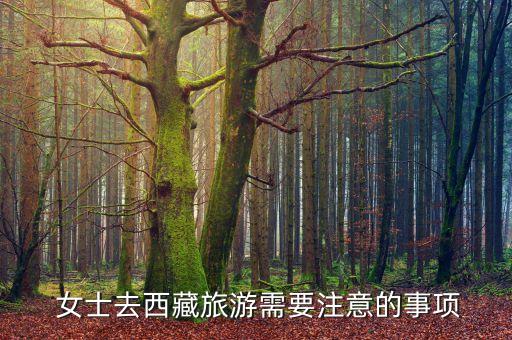 女士旅行