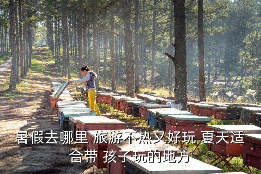 暑假去哪里 旅游不热又好玩 夏天适合带 孩子玩的地方