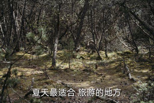 夏天最适合 旅游的地方
