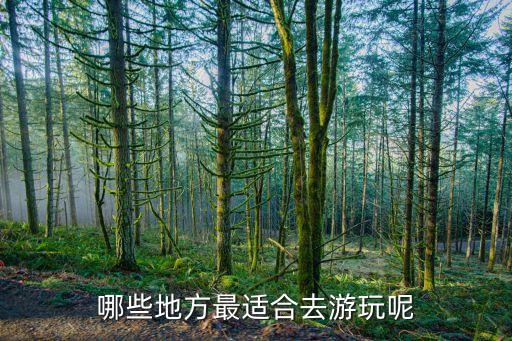 哪些地方最适合去游玩呢