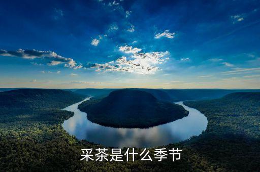 采茶是什么季节
